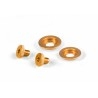 Stilo ST5 schroefset voor vizier GOUD