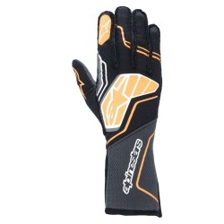 Complete Alpinestars race-outfit PLATINUM