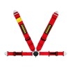Schroth Racing Profi II asm ZWART