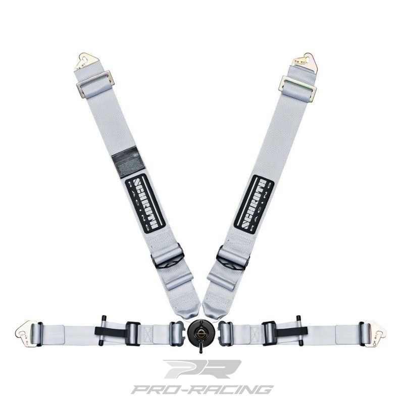 Profi II asm Flexi Belt