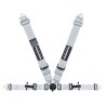 Profi II asm Flexi Belt