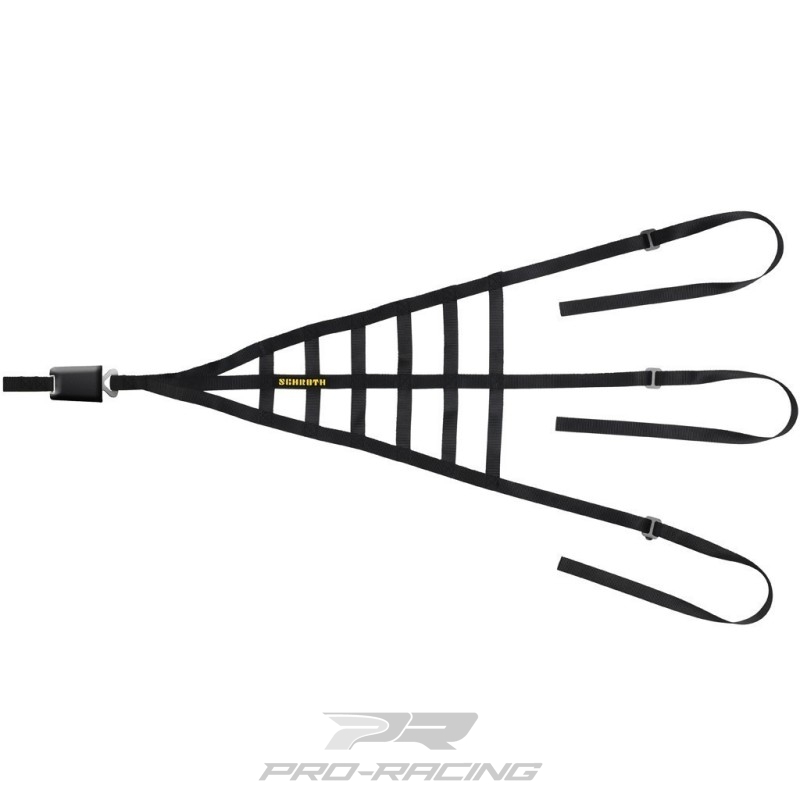 Schroth Racing Raamnet / interieurnet ZWART