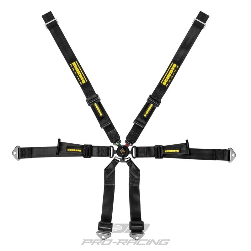 Schroth Racing Profi Porsche 991/992 2x2 DIV. KLEUREN