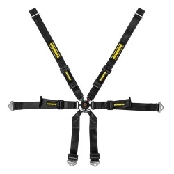 Schroth Racing Profi Porsche 981/982 2x2 DIV. KLEUREN