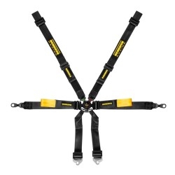 Schroth Racing Enduro Porsche 991/992/981/982 2x2 DIV. KLEUREN