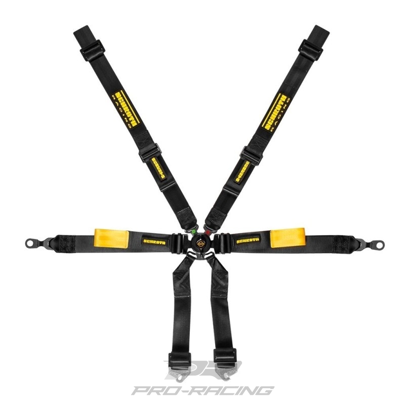 Schroth Racing Enduro Porsche 991/992/981/982 2x2 DIV. KLEUREN