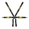 Schroth Racing Enduro Porsche 991/992/981/982 2x2 DIV. KLEUREN