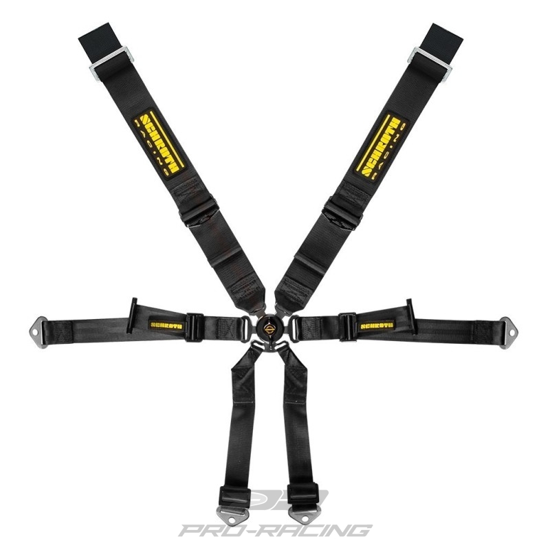 Schroth Racing Profi Porsche 981/982 3x2 DIV. KLEUREN