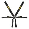 Schroth Racing Profi Porsche 981/982 3x2 DIV. KLEUREN