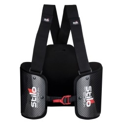 Stilo Carbon Curva ribbeschermer