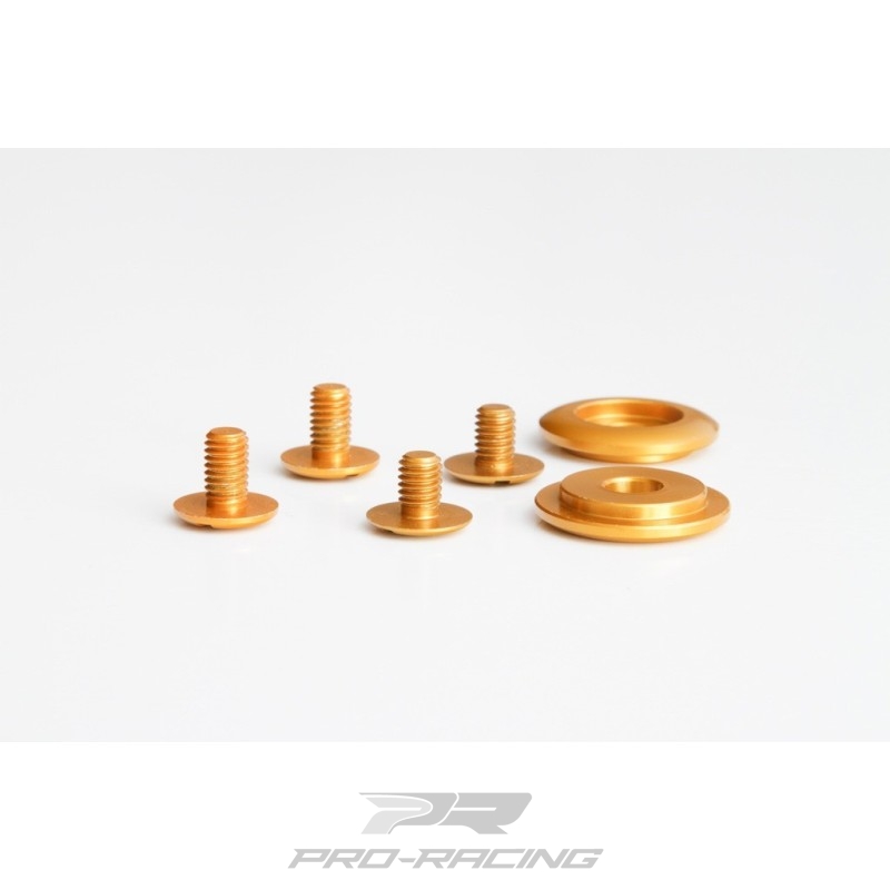 Antman CK-6 schroefset GOUD