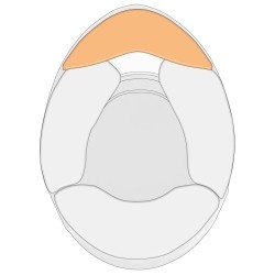 Schuberth SP1 + SF4 wind deflector div. kleuren