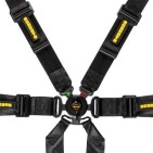 FHR compatible
