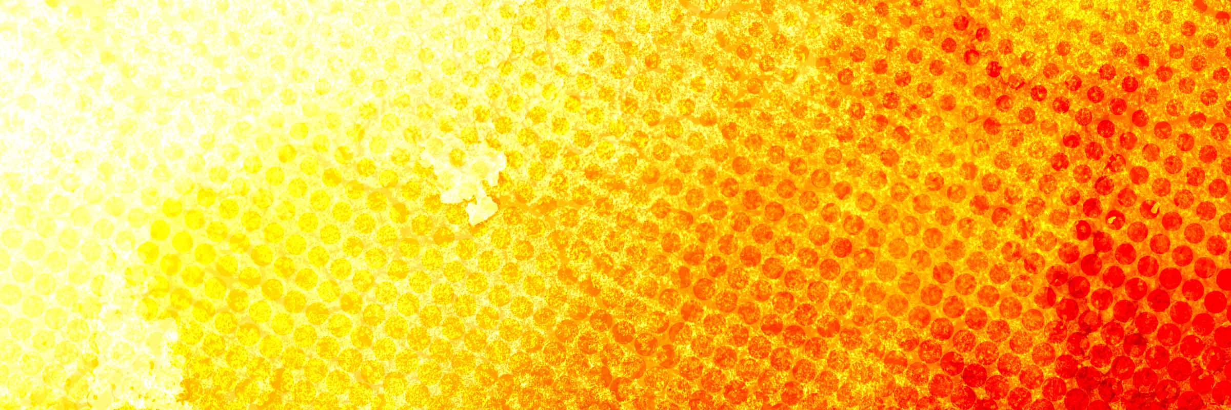 Koele tips Slide background
